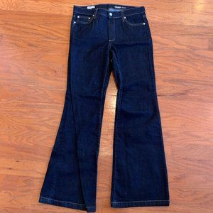 Gap Authentic Flare Jeans Sz 31